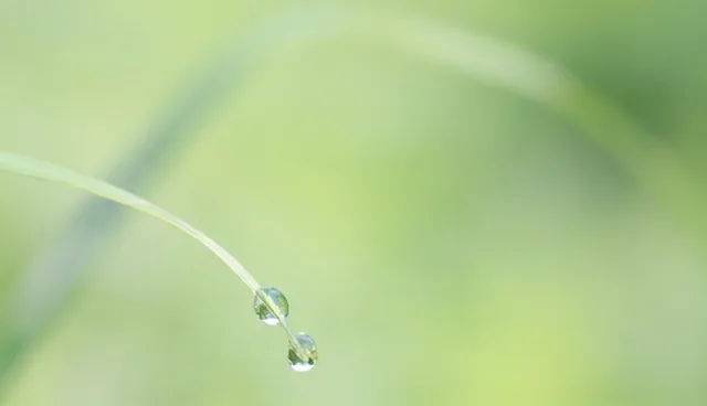 仓储管理中货物运输问题及优化方案